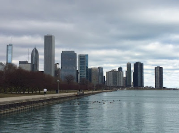 Meet your Posher, Lily - Picture 1 of 1